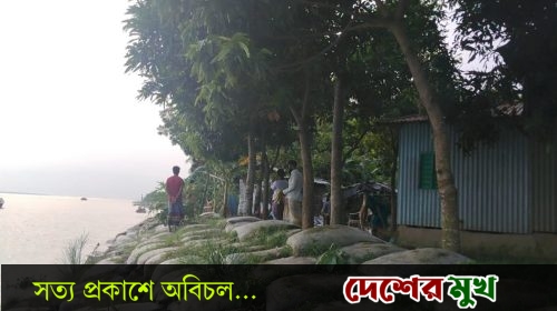 হরিরামপুরে লিপি আক্তারের শেষ সম্বল ভিটা মাটি ভাঙনের কবলের মুখে-হতাশায় জীবন যাপন