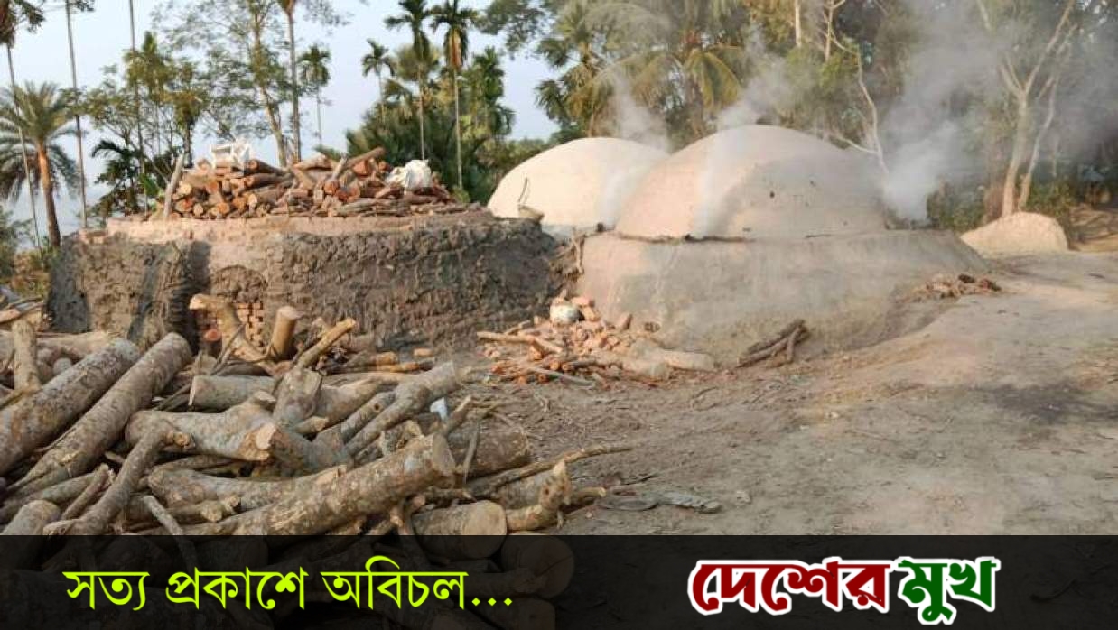 বরগুনায় অবৈধ কয়লা চুল্লি রমরমা: বিষাক্ত ধোঁয়ায় বিপন্ন জনপদ, বাড়ছে স্বাস্থ্য ও পরিবেশঝুঁকি