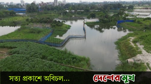 মাছের খামারে চাঁদা দাবি, টাকা না পেয়ে ব্যবসায়ীকে প্রাণনাশের হুমকি