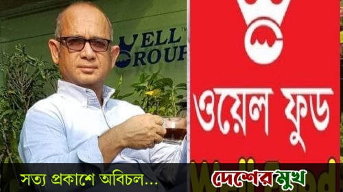 চট্টগ্রামের ওয়েল গ্রুপের চেয়ারম্যান ও সিইও সৈয়দ নুরুল ইসলাম গ্রেপ্তার