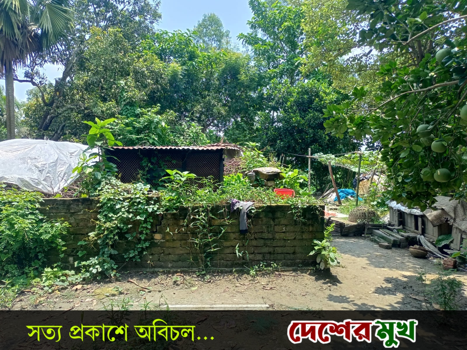 হরিরামপুরে ভয়-ভীতি দেখিয়ে চলছে জমি দখলের পায়তারা