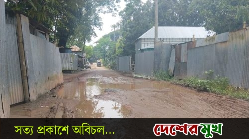 হরিরামপুরে গোপিনাথপুর পাল পাড়া সরকারি রাস্তার বেহাল দশা,ঝুঁকিতে চলাচল