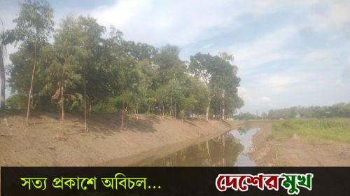 মানিকগঞ্জের ঘিওরে নালী ও বানিয়াজুরির অংশিক ৫ কি.মি দৈর্ঘ্যর একটি খাল খনন কর্মসূচি সুষ্ঠুভাবে সম্পন্ন