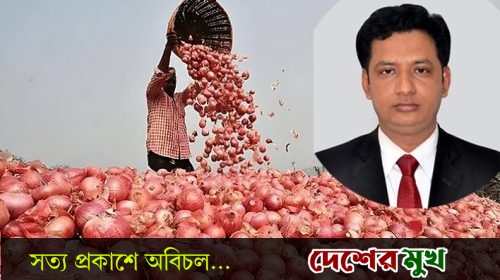 লোকসানে পিষ্ট সালথার পেঁয়াজ চাষি, সংকট নিরসনে ইউএনওর বিশেষ উদ্যোগ