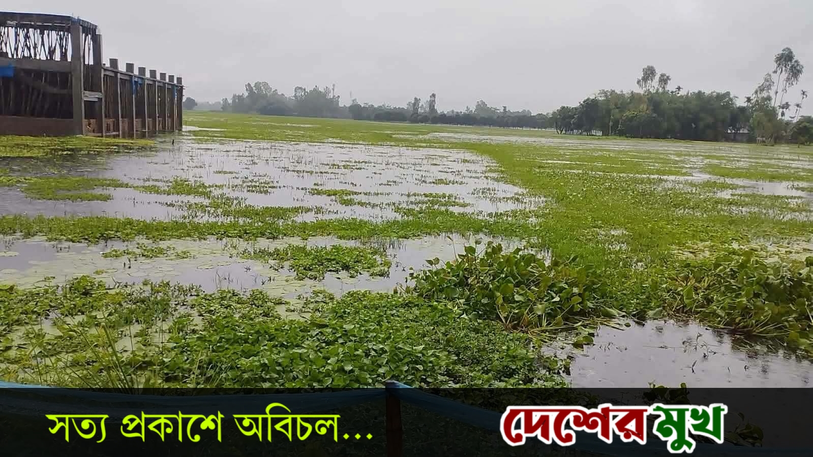 পীরগঞ্জের ৭ গ্রামের মানুষ পানিবন্দী,চরম দুর্ভোগ ও মানবেতর জীবনযাপন