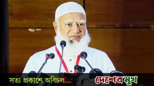 বিএনপিই আমাদের আন্দোলনের পথে ঠেলে দিয়েছে: জামায়াত আমির